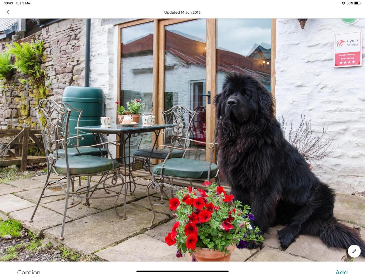 Ty Fferm Hen, Ancient Farmhouse, Coity Bach Talybont-on-Usk Extérieur photo